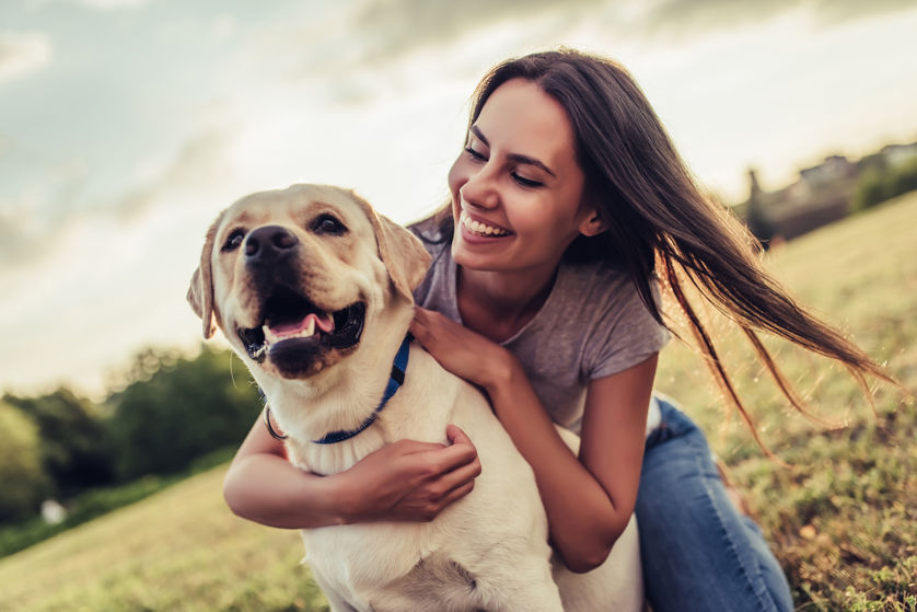 Hundehaftpflichtversicherung